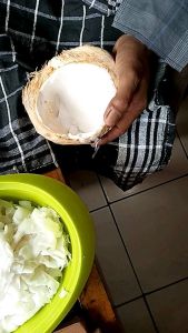 Serutan kerokan kelapa muda buah sibungsu