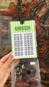 Mi giả Mi Giấy cụm tiểu tín tử ZR04 sợi  giấy mỏng nhẹ GREEN Thủy Mi