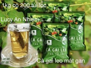 Trà Túi Lọc Ca Gai Leo Sadu Mát Gan I Hỗ Trợ Các Vấn Đề Về Gan (1kg gồm 200 túi lọc)