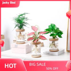 Jacky Chậu hoa trong suốt Chậu hoa nhựa hấp thụ nước tự động thủy canh