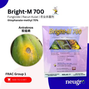 Brightonmax BRIGHT-M 700 1kg Thiophanate-methyl 70% Fungicide Antracnose Racun Kulat Antraknos Hawar Daun Kulapuk Berdebu