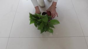 LZD  Waterproof Oxford Cloth Gardening Soil Changing Mat Thickened Leak-Proof Soil Plant Pot Operation Mat Flower Pot Transplant Gardening Tools