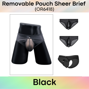 Mens Brief: Nylon Sheer Brief with Removable Pouch and Rear Mid Split Opening (OR6418)
