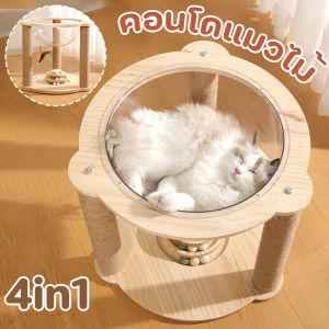 คอนโดแมวไม้ 4in1 โดมแมว หลุมอวกาศ ที่นอนแมวพร้อมหลุมใสอะคริลิค
