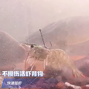 10 cái/gói móc câu nước ngọt nước mặn Móc Câu Cá carbon cao Kết Cấu Thép sống tôm cố định lưỡi câu Bộ