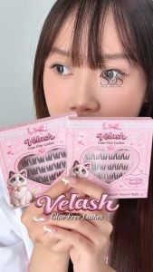 Velash Glue-Free Self-Adhesive False Eyelashes Reusable Natural Look Segmented Lashes for Beginners Eyelash Extensions
