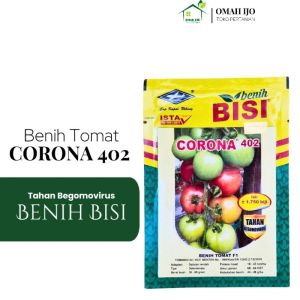 Benih Tomat Corona 402 Tomat Hibrida Umur Genjah Kemasan 1750 butir Original Pabrik