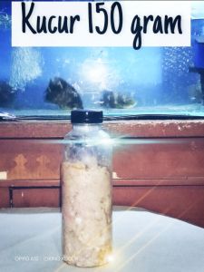 Kucur Umpan Ikan Baung 150 gram