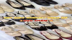 Giày bít mũi cao 8cm màu đen quý phái thanh lịch - (255thga)