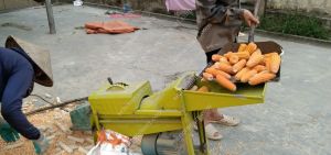 Máy tách hạt ngô mini gia đình tách không vỡ hạtkhông nát cùi ngô giá rẻ