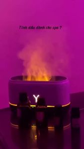 Tinh Dầu Thơm Phòng Nga My JSC Thiên Nhiên Nguyên Chất Nhiều Mùi 10ml Đuổi Muỗi Khử Mùi Thơm Phòng