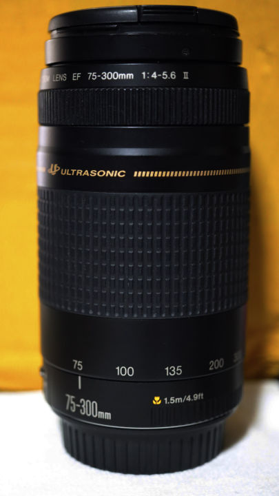 ★訳あり大特価★美品★Canon EF 75-300mm F4-5.6 AF不良 CANON EF 75-300mm f/4-5.6 III: DSLR Camera Lens, Compatible