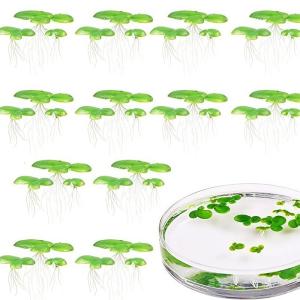 2 Pack Plastic Water Surfaces Floating Realistic Aquarium Decors Improves Habitat