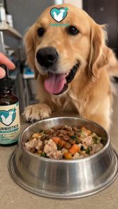 Furbiotics Digestive Drops for Pets – Support Gut Flora Improve Digestion for Dogs & Cats