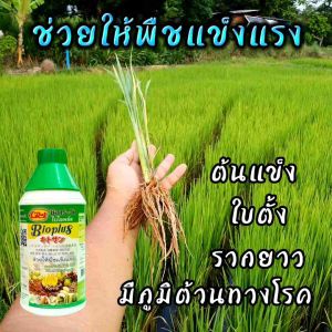 ไคโตซาน สำหรับพืช โมเลกุลสายสั้นผสมยาว ขวดจรวด ฝาเขียว ขนาด 1000 ซีซี (1ลิตร) จำนวน 1 ขวด