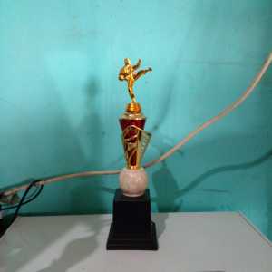 Piala Lomba Juara 1 2 3 4 (PENCAK SILAT BODY MERAH MARMER+RASER) "costum" FREE STICKER (BOLEH satuan)TERMASUK SETICKER DAN FREE DESIGN