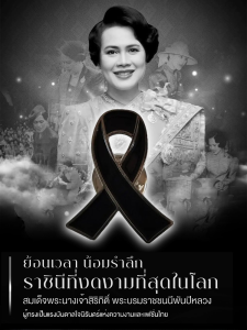 น้ำมันหยด เสริมหน้าอก เข็มขัด สวมใส่สบาย ทนต่อการสึกหรอ ตกแต่ง ขนาดปานกลาง โลโก้น้ำมันหยดเครื่องประดับ