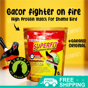 SEMPATI Superfit Super Fit Gold 100gr Original Voer Pur Pakan Burung Murai Kacer Kenari Anis Cililin Kacer Ciblek Cendet Pakan Gacor Penggacor Harian Lomba Burung Kicau Tinggi Protein