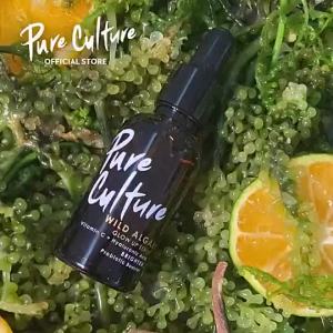 Pure Culture Wild Algae Glow Up Serum 30ML Vitamin C Serum Vitamin C + Hyaluronic Acid