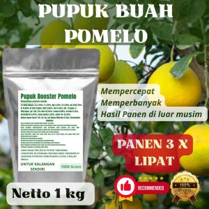 Pupuk Booster Pomelo Pelebat Organik Cepat Berbuah Lebat Besar Anti Rontok Pembesar Pomelo