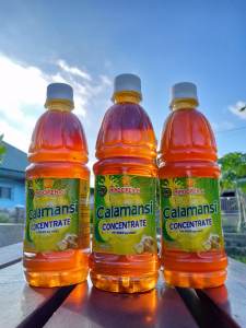 Calamansi Concentrate with Ginger & Honey Pure Juice Extract Organic No Preservatives All Natural Citrus Lime for Kids Adults and Family Mindoren -C Alliswell Harvest Solo Family Pack