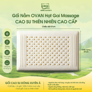 Ruột Gối Nằm - Gối Ôm Cao Su Êm Ái Hỗ Trợ Cổ Hàng Việt Nam