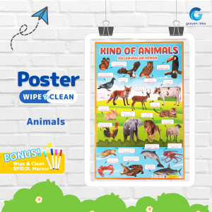 Poster Wipe & Clean Belajar Abjad Angka Body Part Edukasi Anak PAUD Bahan Glossy