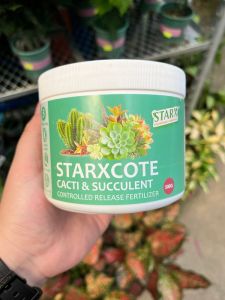 (SG Seller) Starxcote Cacti & Succulent Controlled Release Fertilizer 500g (StarX)