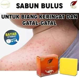 sabun gatal kulit badan paling ampuh bulus soap sr12 original bpom