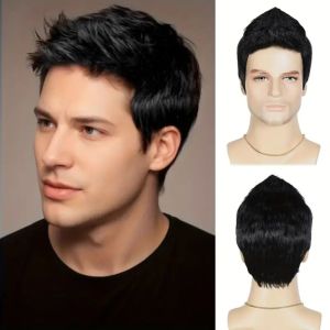 YOCKY Natural Fashion Mens Black Wigs Halloween Fluffy Synthetic Cosplay Wigs Fake Hair Handsome Short Layered Hair Young Men
