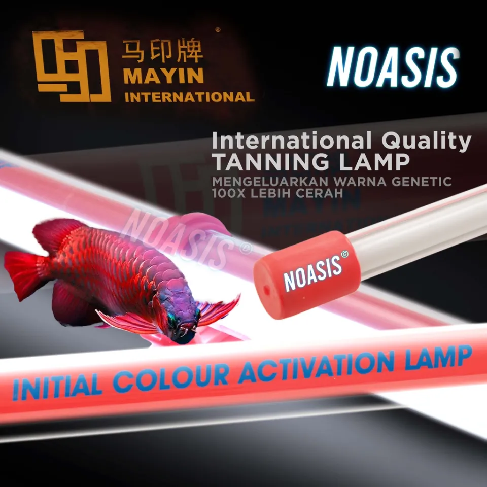 🔥FREE SHIPPING🔥 Mayin 2700k T5 Arowana Tanning Light Lampu 马印