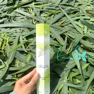 Nhang khuynh diệp Lam Lam nhang thơm 20cm 30cm từ lá khuynh diệp - lá bạch đàn dùng thắp cúng xông nhà thư giãn