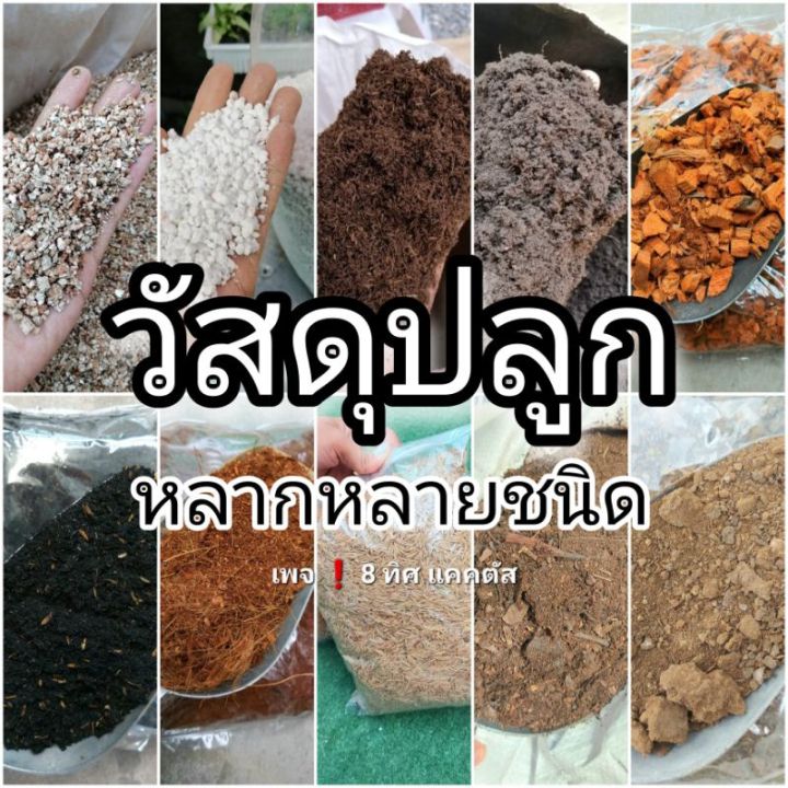 วัสดุปลูกหลากหลาย เพอร์ไลท์ เวอร์มิคูไลท์ มูลไส้เดือน