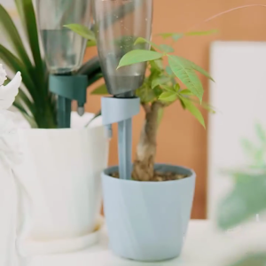 Công cụ tưới nhỏ giọt thiết bị tưới nước tự động cho khu vườn trong nhà và kiểu dáng nhà tuyệt vời cho nhiều loại chậu