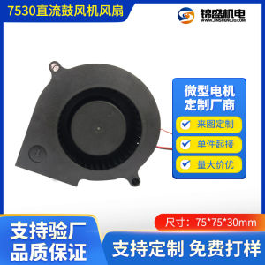Customized DC Brushless Blower 7530 Cooling Fan Air Purifier Projector Turbo Blower