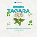 Himalaya Tagara 60s | Herbal Supplement for Sleep Wellness | Calms the Mind | Helps Relieve Stress and Insomnia. 