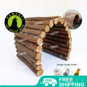 SEMPATI Mainan Hamster - Jembatan Hamster - Kayu Fleksibel Jembatan Hamster Sugar Glider Burung Iguana Reptil Falk Parkit Kayu 25 X 10 Cm JMS25