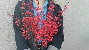 FCArtificial Red Berry Flowers Bouquet Fake Plant For Home Vase Decor Xmas Tree Ornaments New Year 2026 Party Christmas Decoration