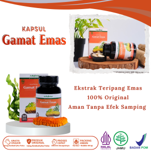 Gamat Emas Kapsul Original 100% Asli Eksrak Teripang Emas - Isi 50 Kapsul