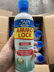 Sản phẩm AMMO-LOCK POND của API khử Amoniac trong bể cá dung tích 473ml