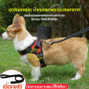 เชือกจูงสุนัข สายลากจูงสุนัข สายจูงหมา สายจูงสุนัข ชุดรัดอกสุนัข สายจูงสัตว์เลี้ยง สายรัดหน้าอก มีขนาดให้เลือก