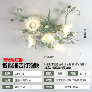 MEIYUAN ceiling light for living room dinning room ceiling light for bedroom girls room light green ceiling light ceramic light