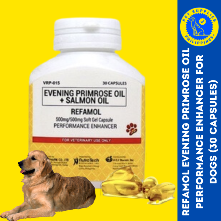 Evening primrose oil for dogs best sale