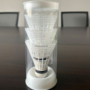 [HCM] [Hộp 6 quả] Cầu nhựa cao cấp đường bay ổn định nhẹ bền 2 màu tùy chọn-TyHome