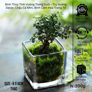 Chậu Vuông Thuỷ Tinh Đa Năng – Trồng Sen Đá Cây Thủy Sinh Nuôi Cá Cảnh Mini
