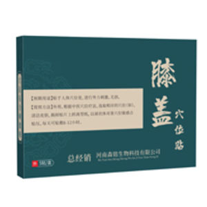 biaozhen Acupoint patch magnetic therapy for joints swelling and pain relief sports recovery