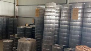 【PPO0】Bird Cage Net Breeding Net Rabbit Cage Net Parrot Pigeon Cage Net Quail Net Long Hole Welded Wire Mesh Chicken Net Galvanized Barbed Wire/outdoor bird cage net welded wire mesh chicken rabbit  breeding net