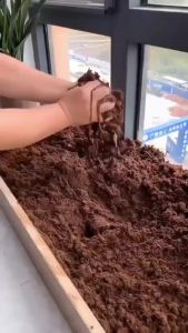 Viên Nén Mụn Xơ Dừa Ép Hình Vuông Trồng Cây - dinh dưỡng cho cây trồng