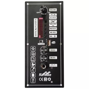 【👍Original + 24 hours delivery🚗✔️】AC 220V 12v 24v Digital Bluetooth Stereo Amplifier Board Subwoofer Dual Microphone Karaoke Amplifiers For 8-12 Inch Speaker (car accessories)