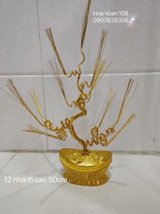 Gốc cây kim tiền( thỏi vàng +gốc)